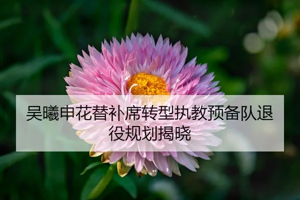 wu-xi-shen-hua-ti-bu-xi-zhuan-xing-zhi-jiao-yu-bei-dui-tui-yi-gui-hua-jie-xiao-3-878.jpg