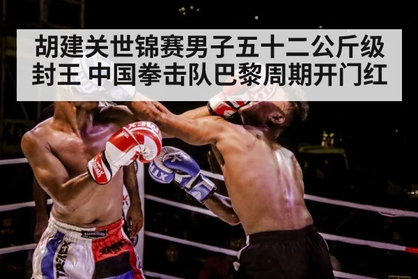 boxer training gloves